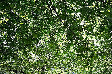 跨专业真能行？参加过Y3网易高校游戏制作人大赛的同学们现在怎么样了—Y3编辑器