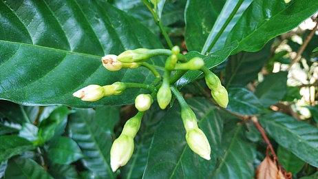 恐怖游戏《面容》次世代版已登陆XBS 11月登陆PS5 