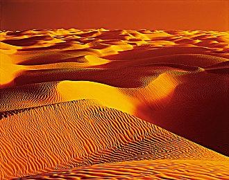 《死亡搁浅2》首次打折！-15％仅需482元港币